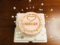 -维尔纳斯·生日蛋糕动物奶油冰淇淋蛋糕(人大店)