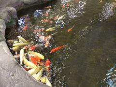 -鸿通城购物中心