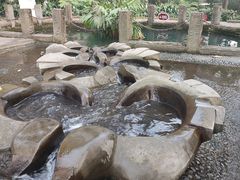 -成都市活水公园