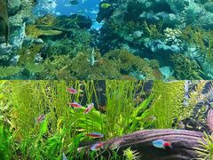 -上海海洋水族馆