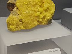 -湖南省地质博物馆