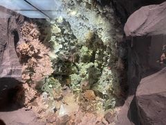 -湖南省地质博物馆