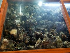 -土蚝·高压锅生蚝(百姓美食街店)