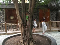 -龙达温泉生态城