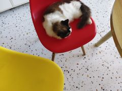 -观音桥步行街