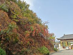 -金龙寺国家森林公园