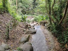 -火炉山森林公园