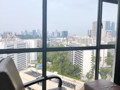 -新加坡富丽华河畔大酒店(SG Clean)