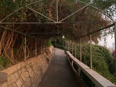-鸿山公园
