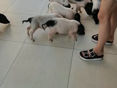 -万科美好广场