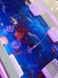 -贝悠悠(华宇时尚店)