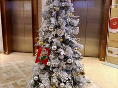 -香港富临皇宫(五月花商业广场店)