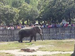 -西安秦岭野生动物园
