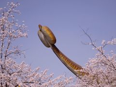 -顾村公园