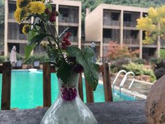 -看见远方·莫干遥远的山民宿