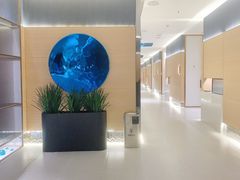 -红鼎豆捞·非遗鲍皇汤火锅(宝丰路店)