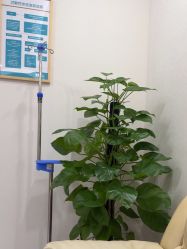 -广州紫馨整形外科医院
