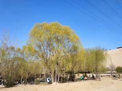 -古柏渡飞黄旅游区