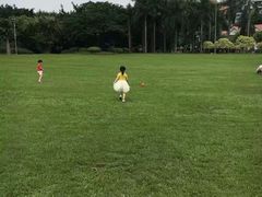 -东风公园
