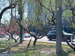 -中国宋庆龄青少年科技文化交流中心