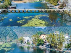 -靖西鹅泉风景区