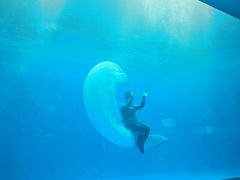 -石林冰雪海洋世界