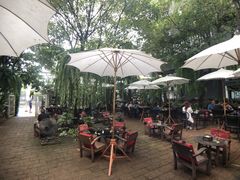 -Fern Forest Cafe