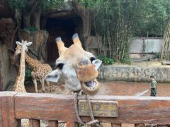 -长鹿旅游休博园