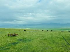 -新疆那拉提国家旅游度假区
