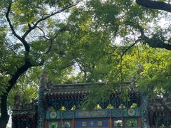 -北京国子监胡同