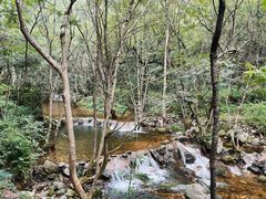 -牛背梁国家森林公园