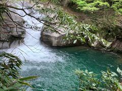-大鄣山卧龙谷景区