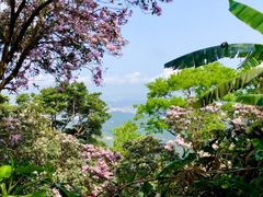 -梧桐山风景名胜区