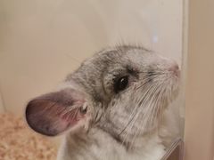 -龙猫仔乐园(惠福东路店)