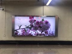 -人民广场(地铁站)