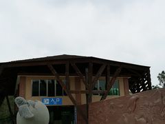 -广东惠东海龟国家级自然保护区