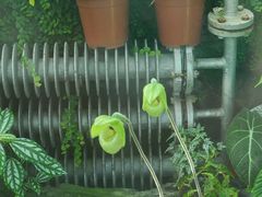 -北京植物园-展览温室