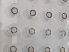-可糖美瞳·隐形眼镜·测基弧(朝阳大悦城店)