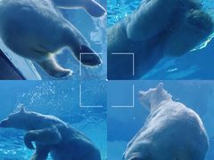-珠海长隆海洋王国