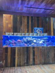 -Zoolung Zoolung动物主题公园(海信广场店)