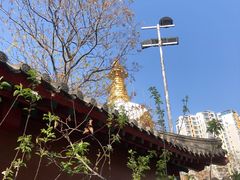-护国法轮寺