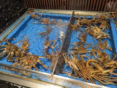 -蟹将军·松叶蟹和牛日料放题自助(K11店)
