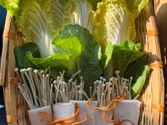 -野菌皇海景野生菌火锅(滨海大道店)