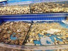 水产区-乔哥铭洋海鲜自助(皇城恒隆广场店)