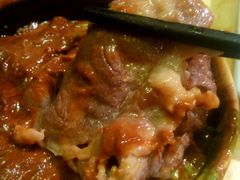 羊肉-下马陵贰号