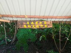 -龙道沟景区