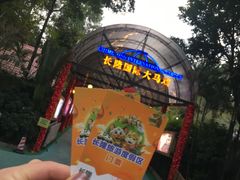 -广州长隆国际大马戏
