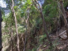 -大岭沟猕猴桃谷风景区
