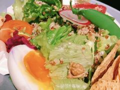 -HELLO 27 意面·沙拉·帕尼尼