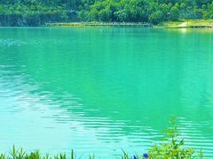 -水濂山森林公园